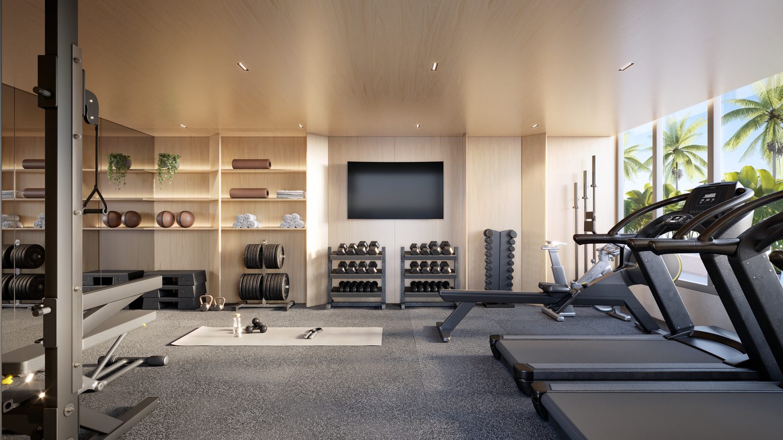 Lumini's gym, with equipment and natural light
